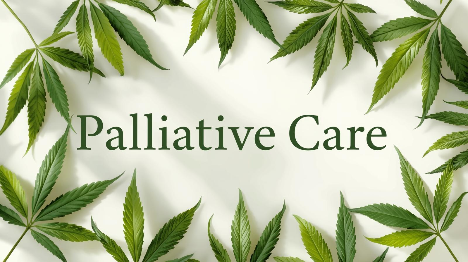 The Role of Cannabis in Palliative Care